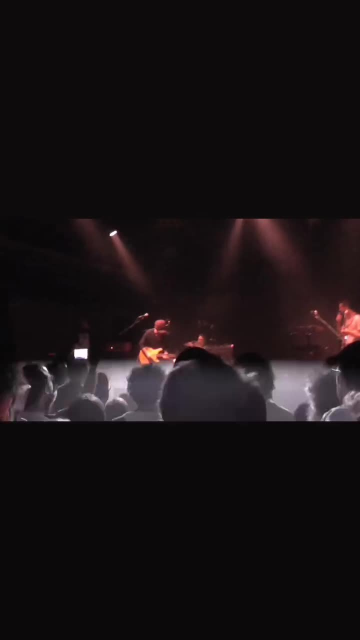 @thecrispyflowers