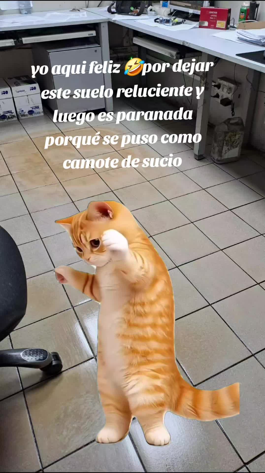 @✨️🇩🇴Quisqueya 🇩🇴✨️