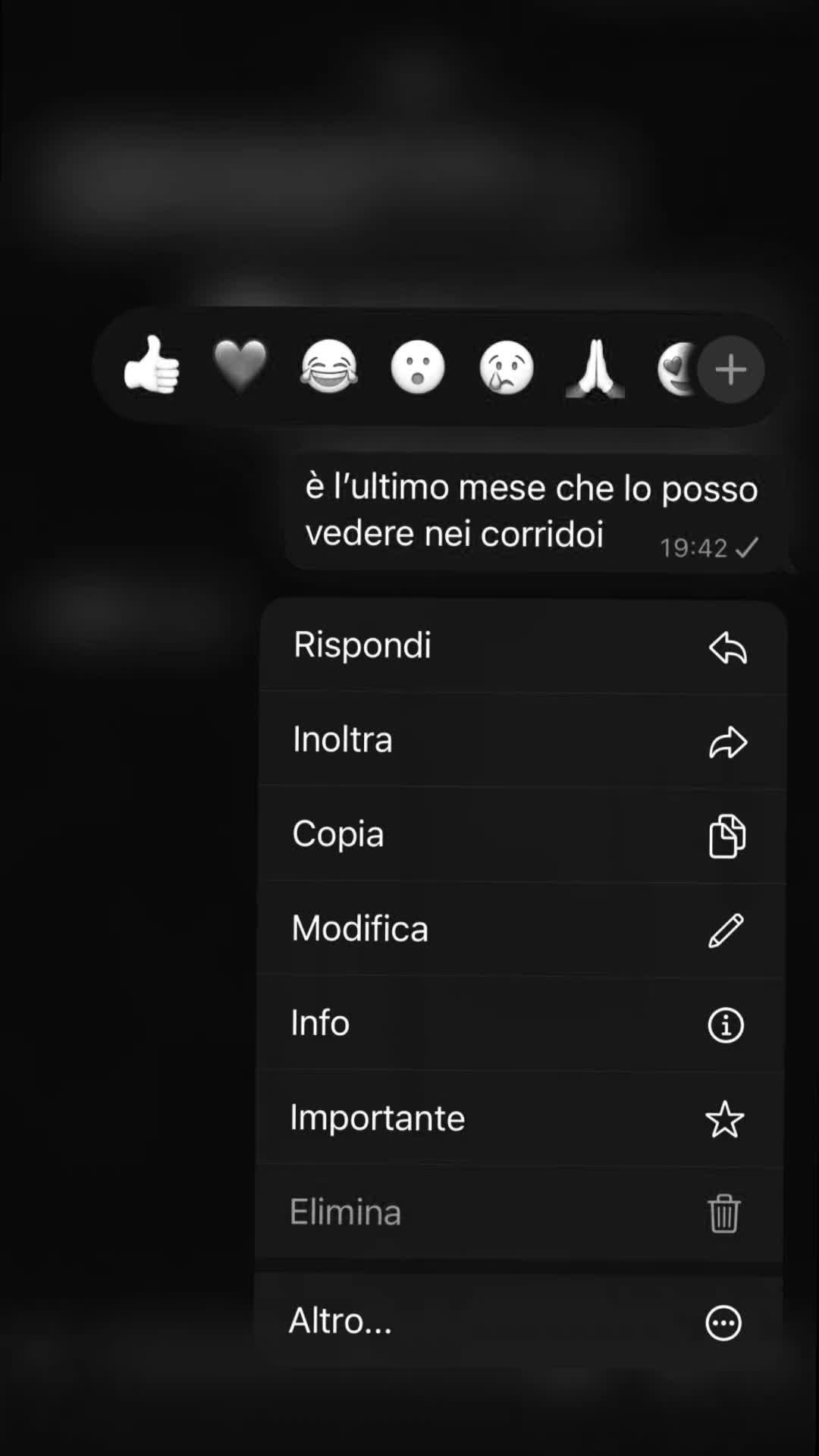 @rosa_spammm