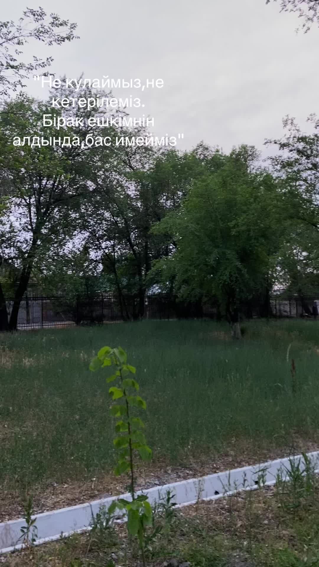 @beka_goi