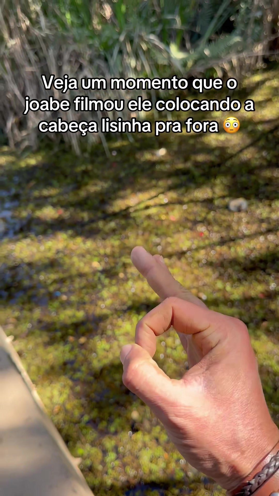 @Joab
