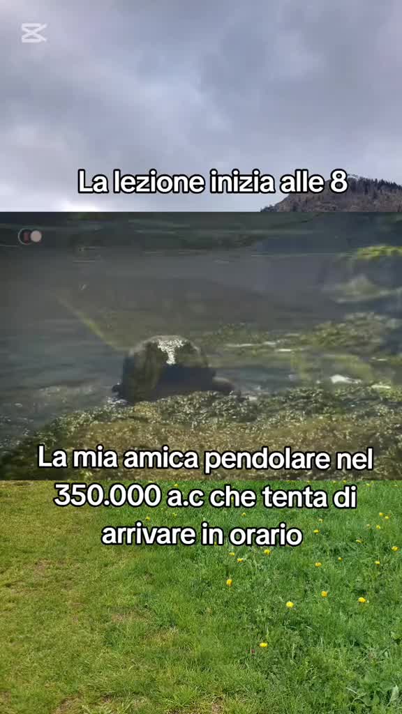 @gb_uni_meme
