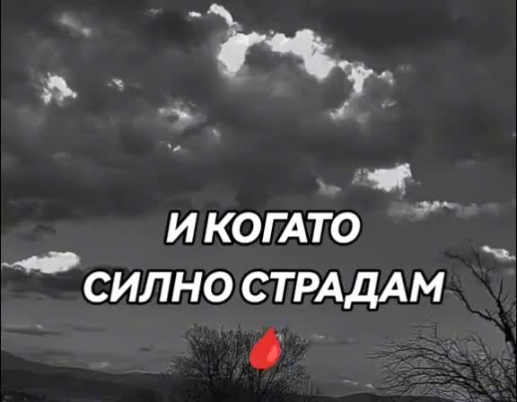 @Elza Borislavova825