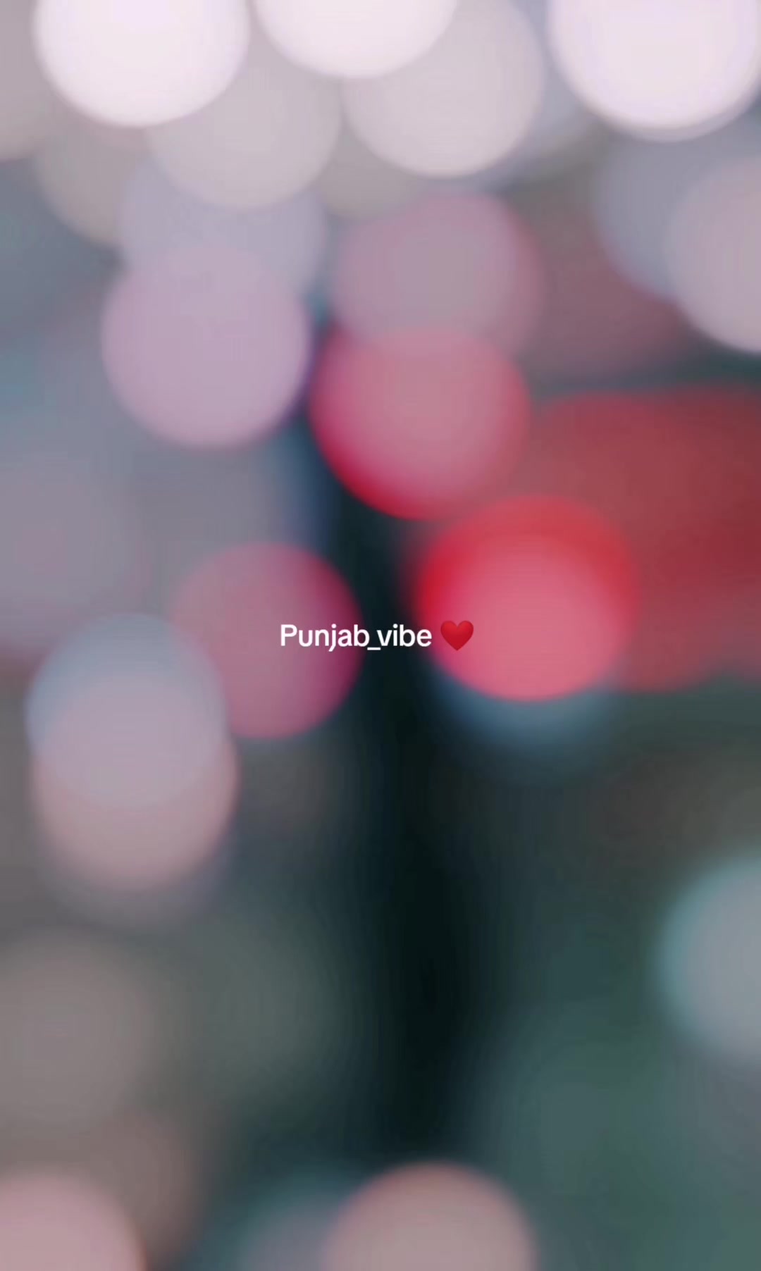 @Punjab _vibes❤️