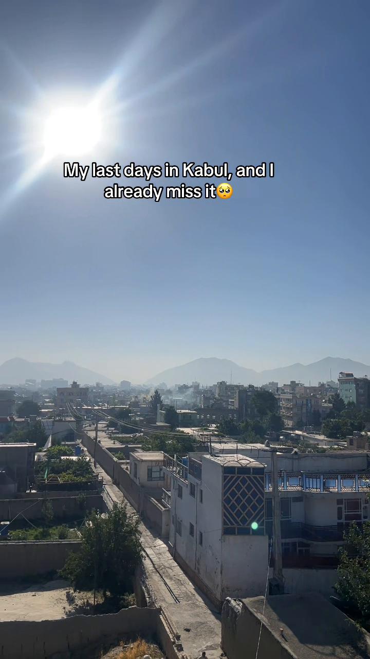 @Gull rayhan 🕊️
