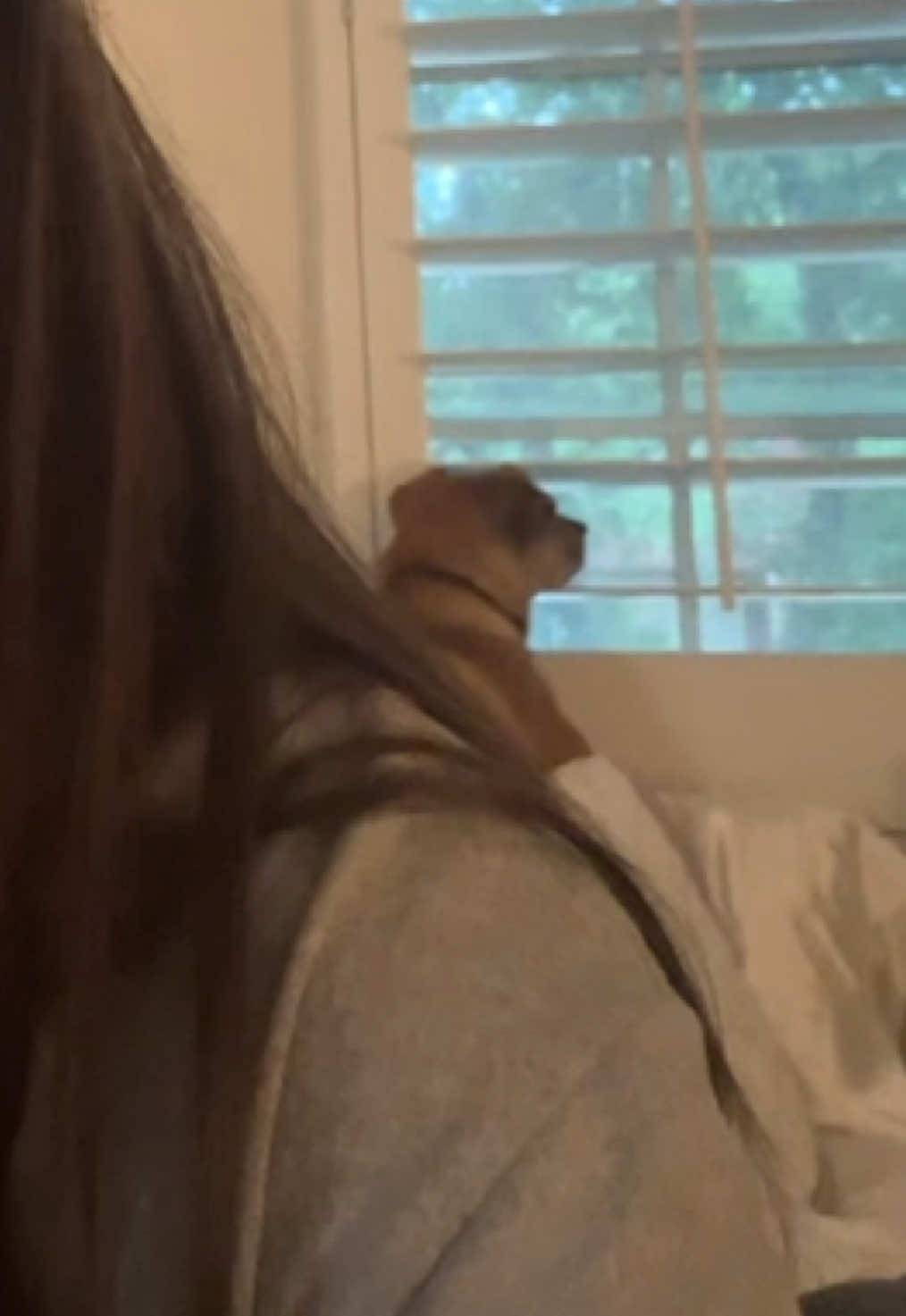 @alexa