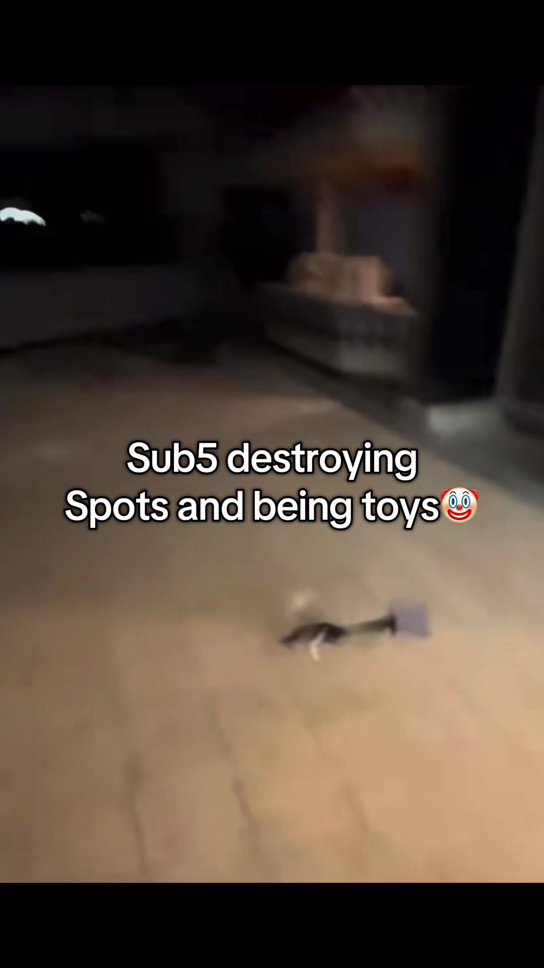 @Hmexplores⚠️🚨🚷