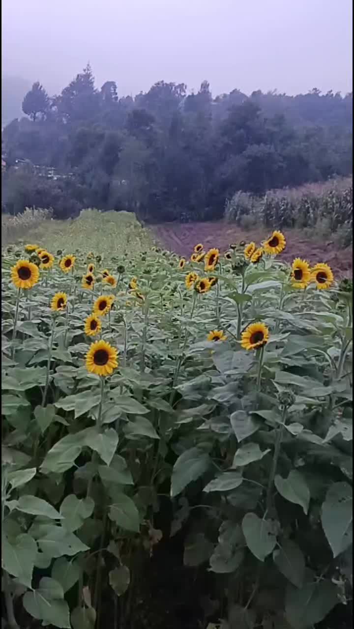 @martinmmm777