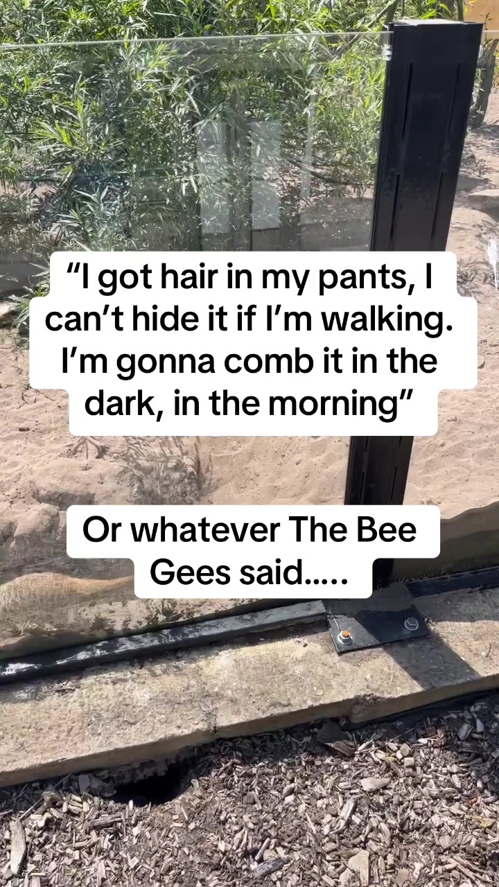 @🦔Emma 🦔