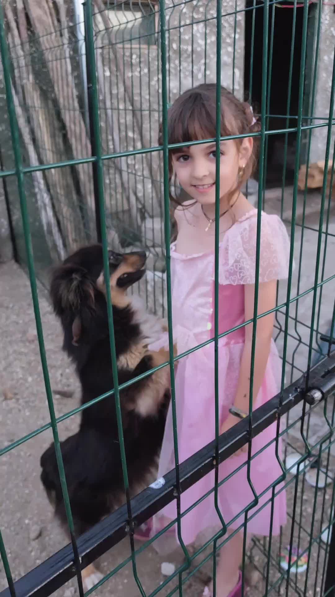 @Cătălina 👑