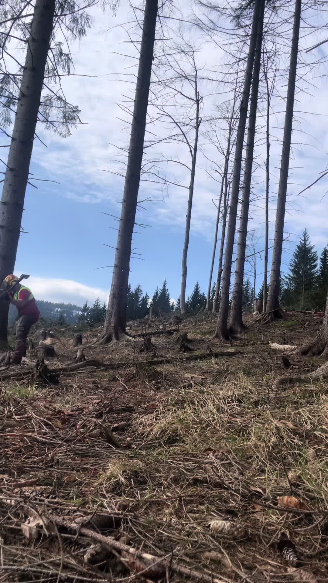 @Agrarius 🌲🇦🇹