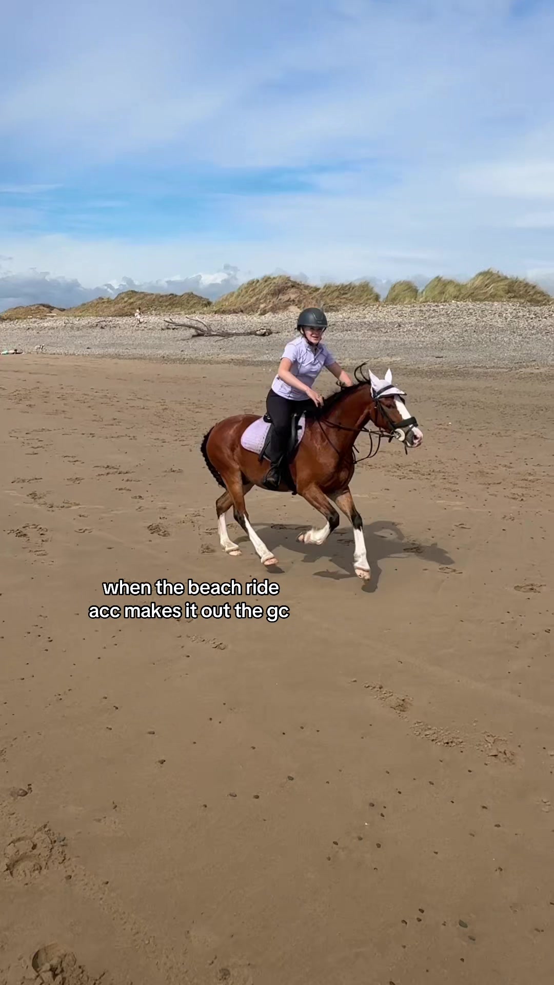@poppy 🌾🐴 🇬🇧