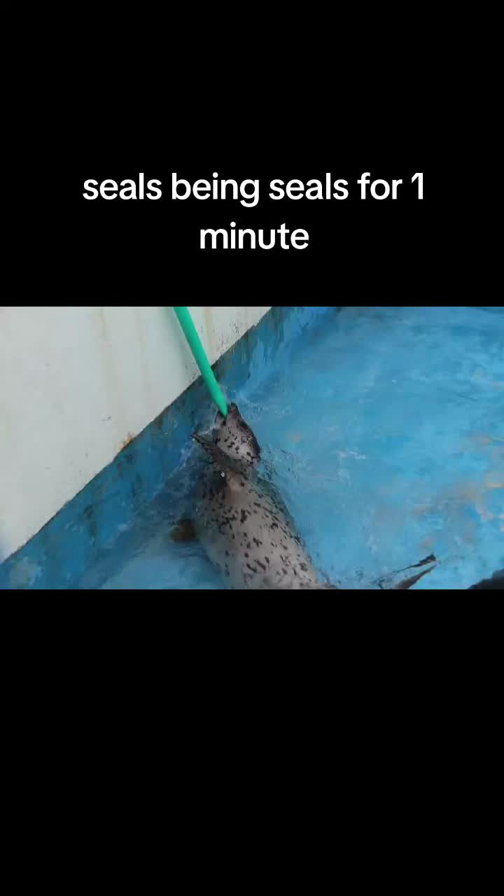 @🦭🦭