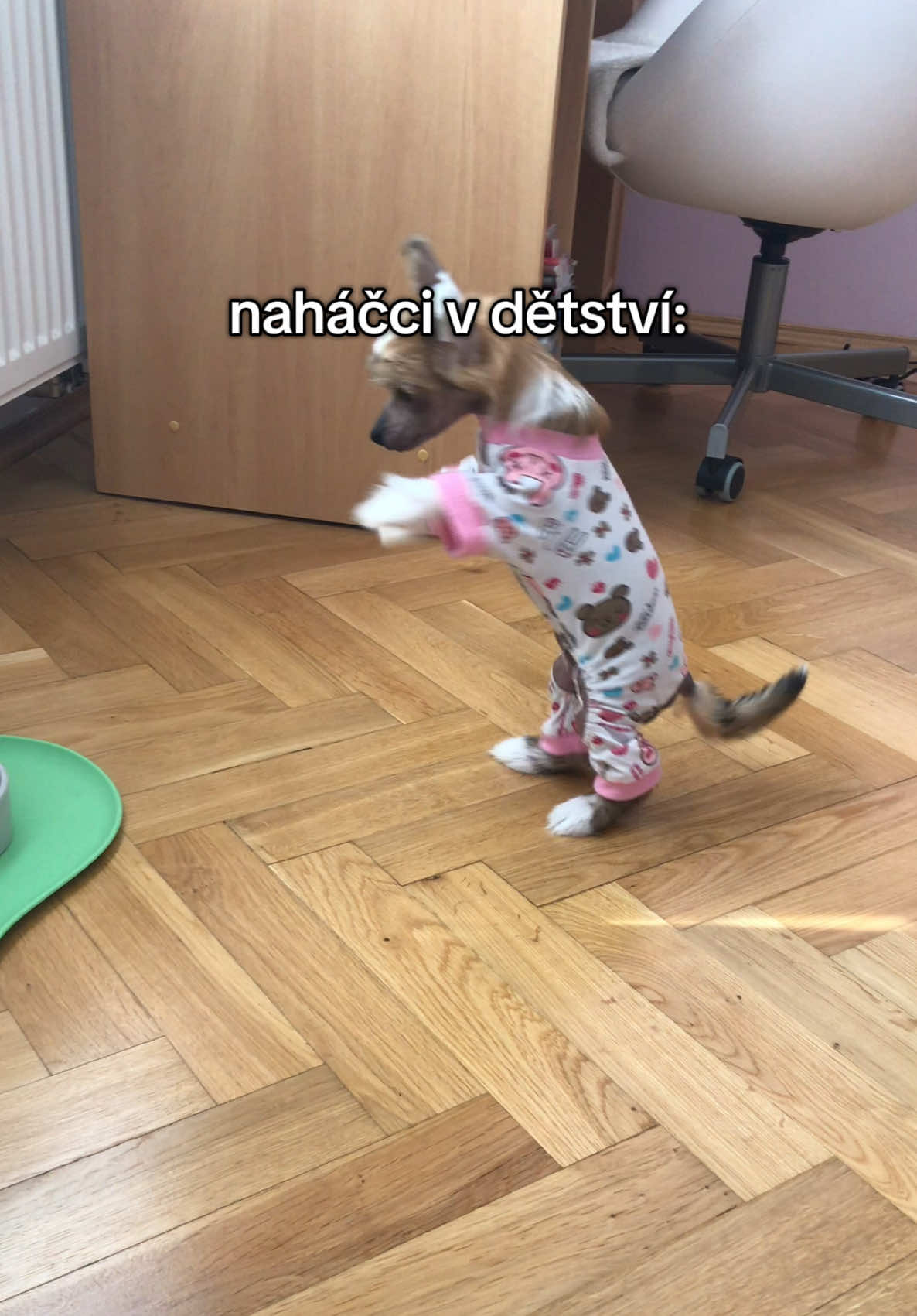 @Veronika🩷