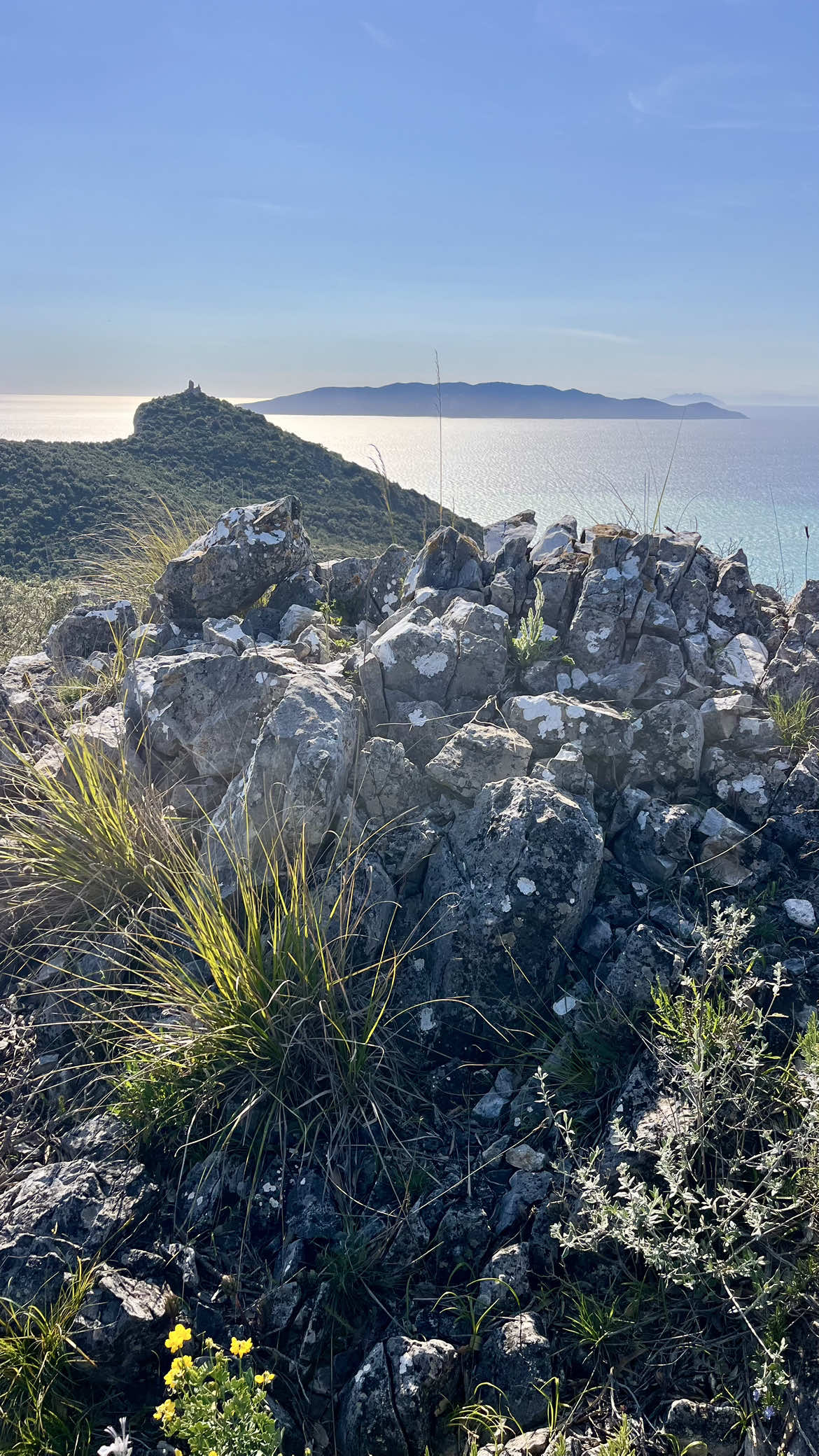 @Maremma Green Passion