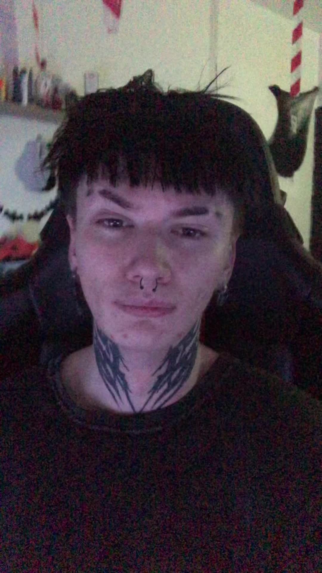 @kvitek
