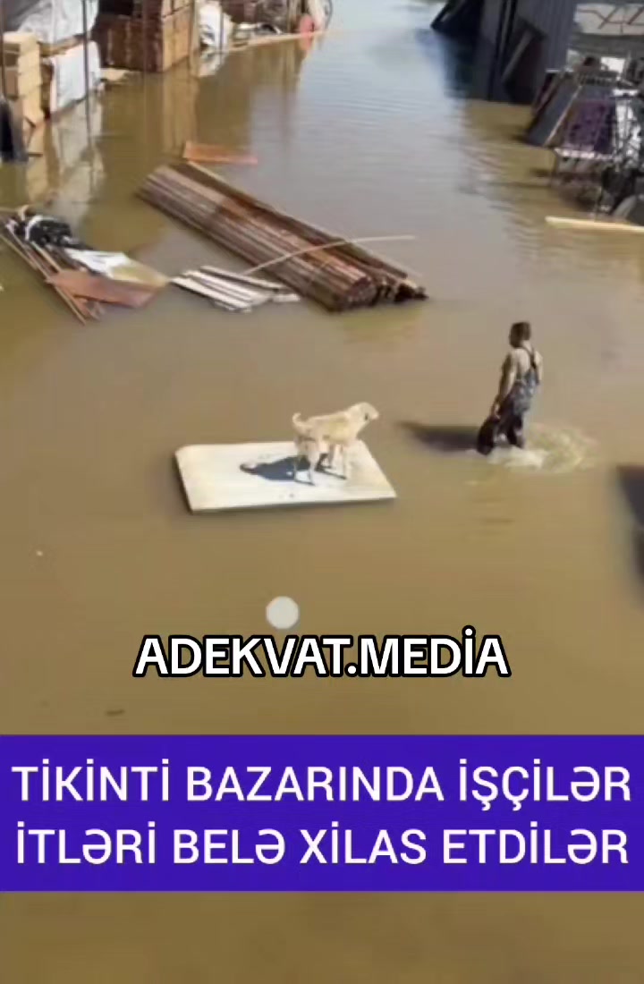 @ADEKVAT.MEDİA