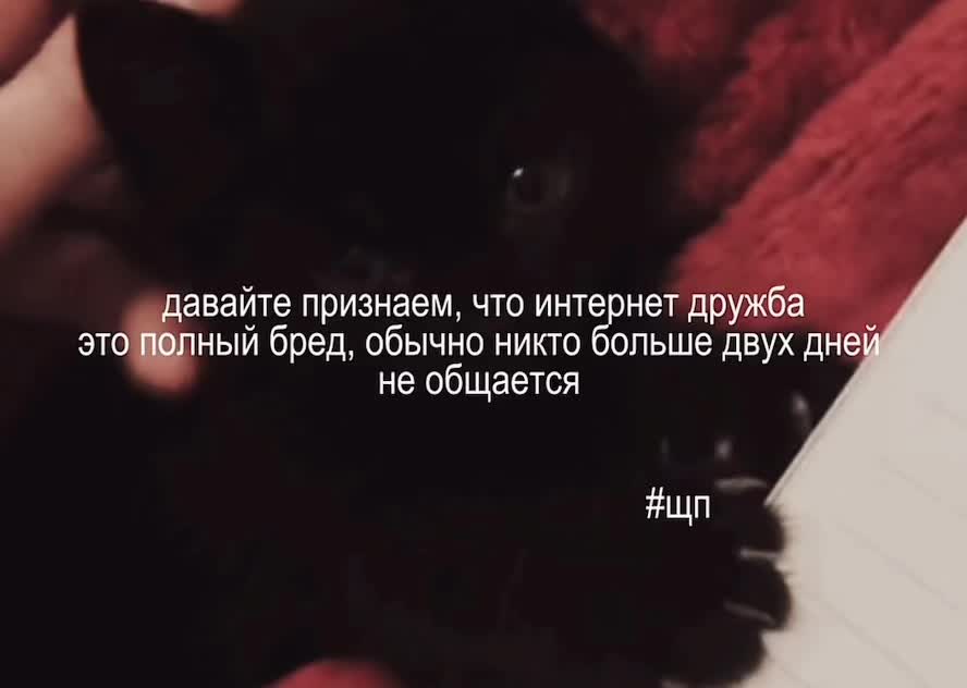 @мєгаладон