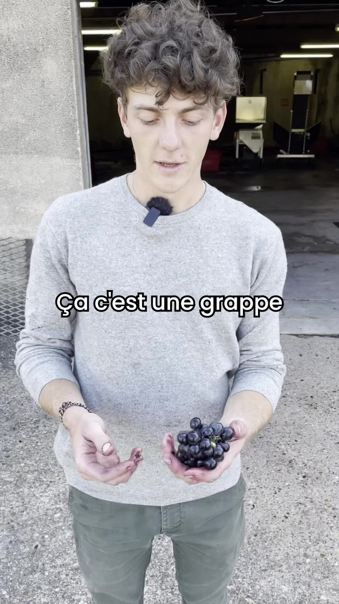 @Le Go&ucirc;t des Racines