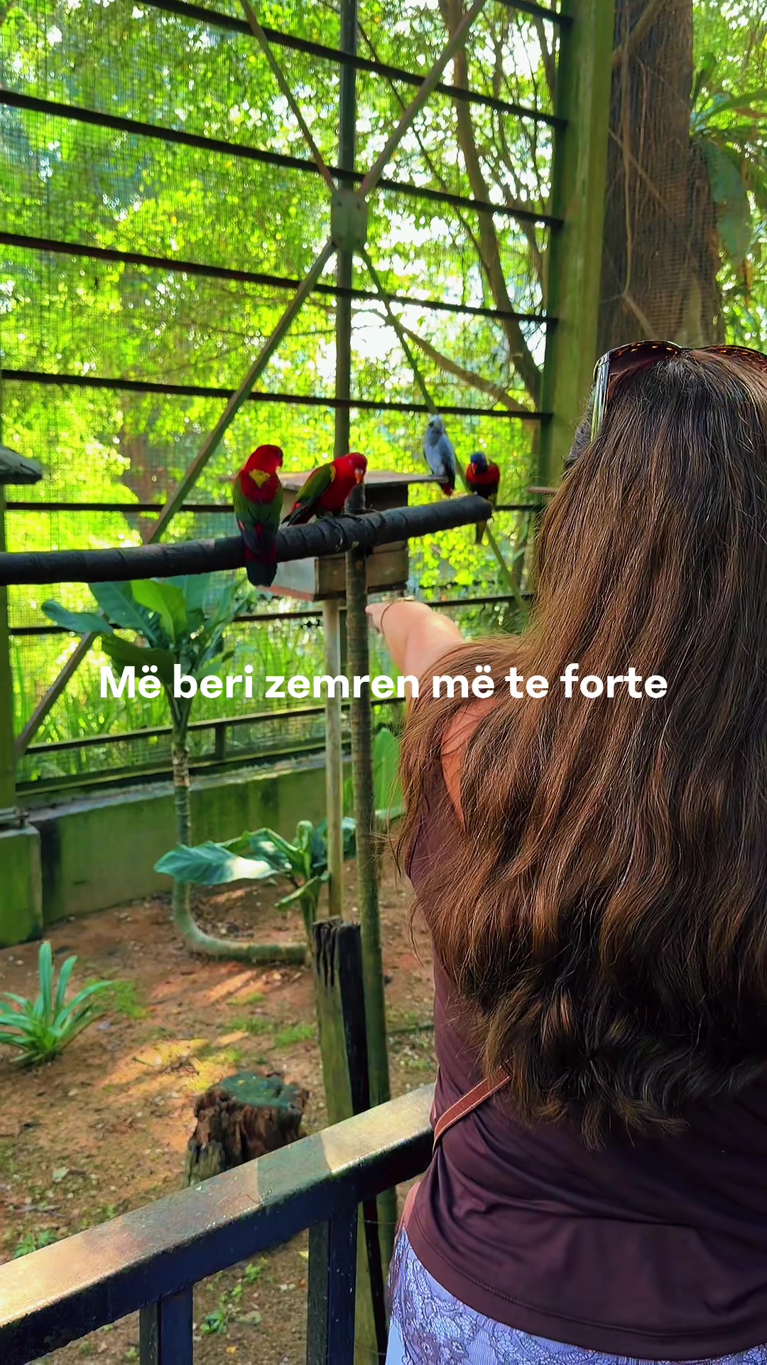 @🦋✨ 🇽🇰 ➡️ 🇬🇧 ✨🦋