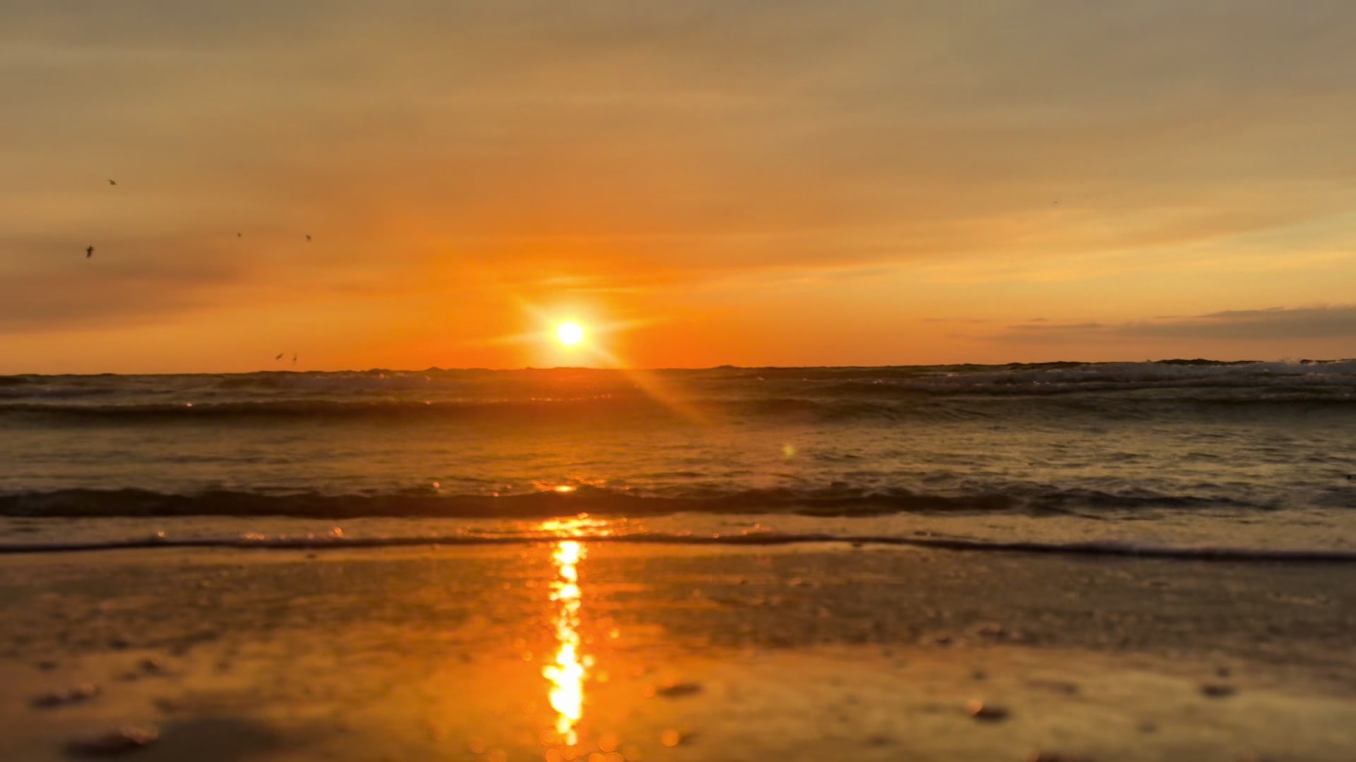 @sunsetlover26
