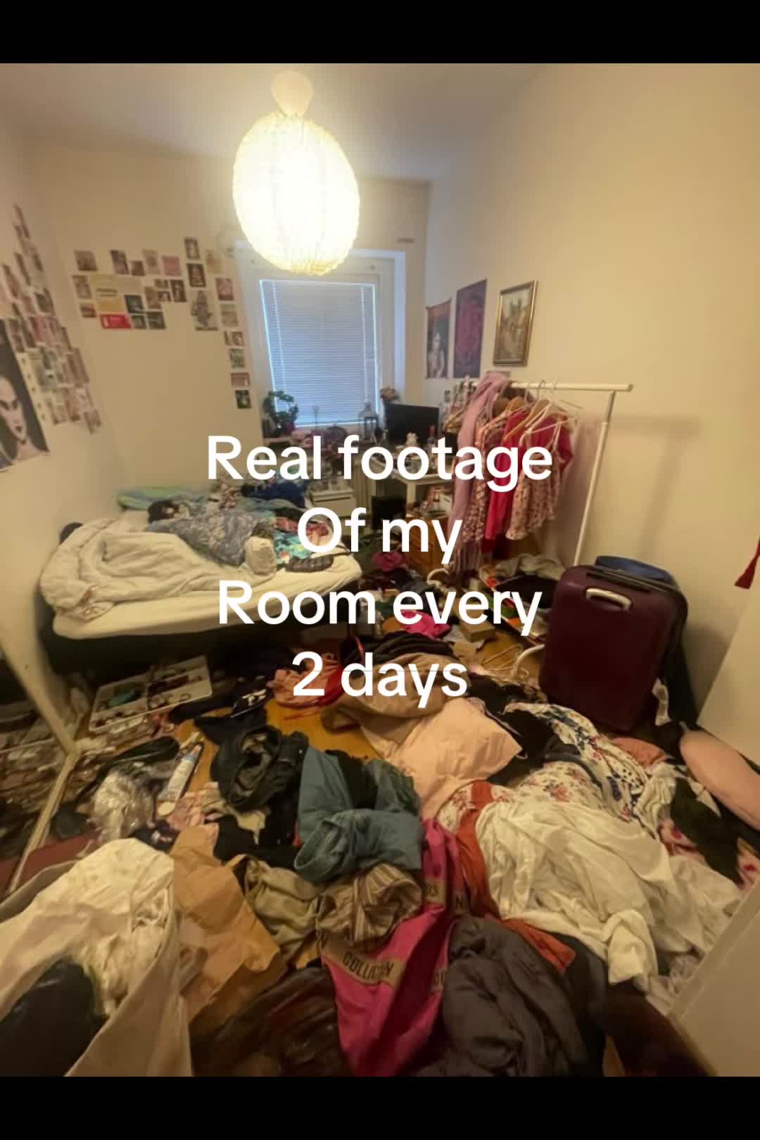 @JennyJaguar