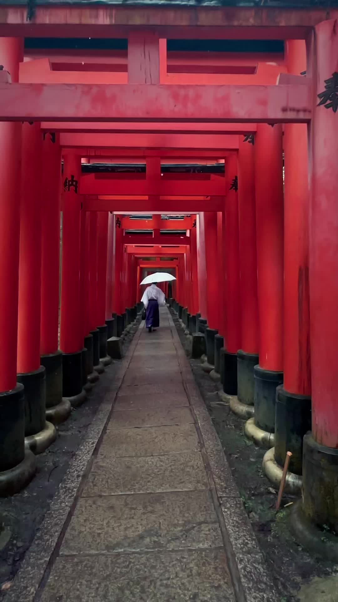 @fal_boh