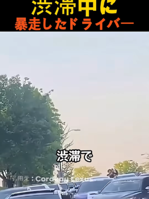 @user8297523422119