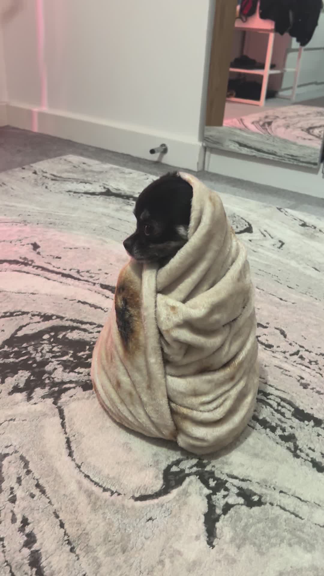 @tiktok-Taco Bell 🛎️