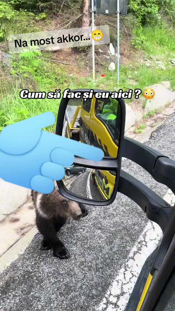@Forika Forika
