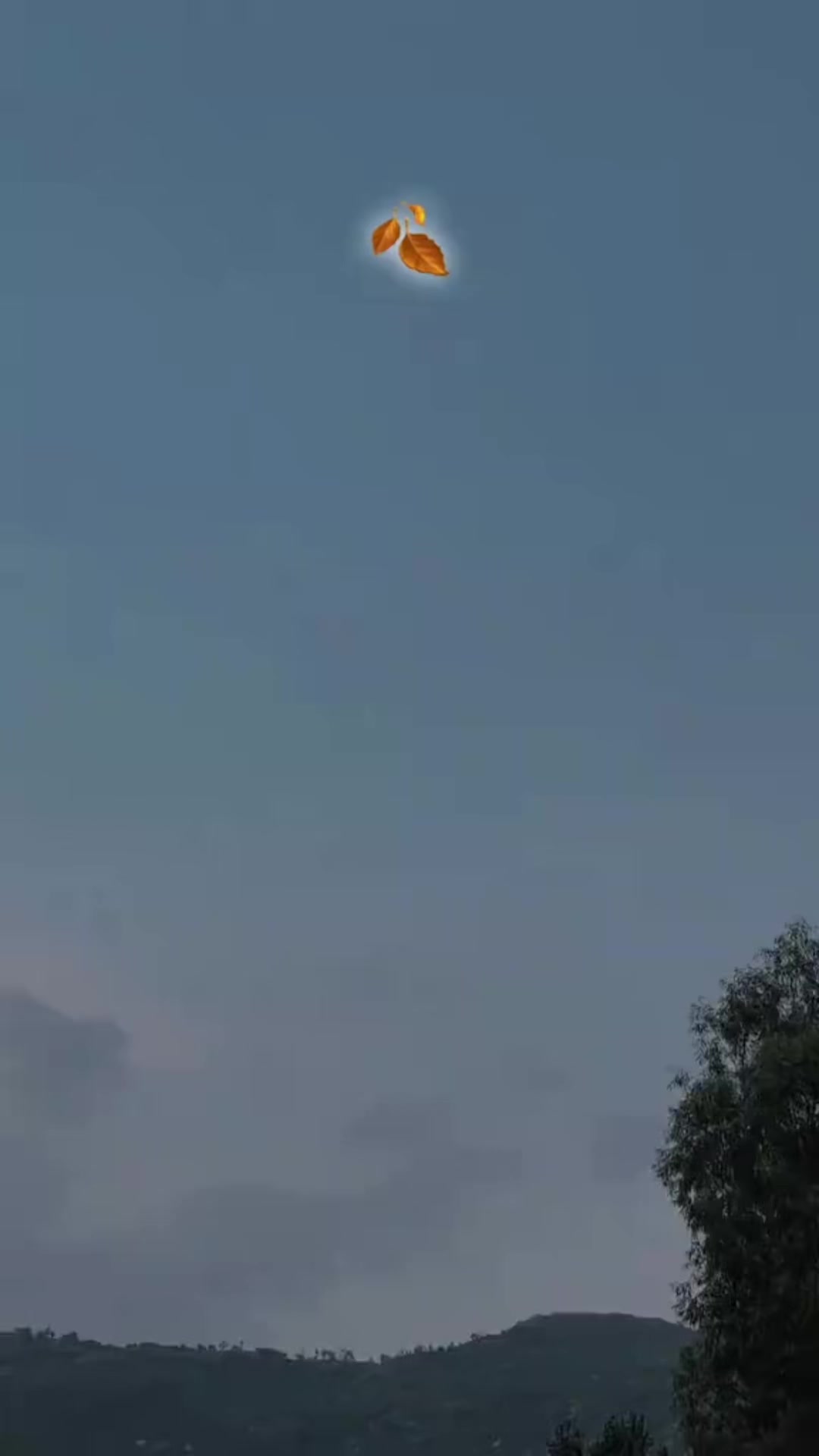 @🍁شہر یار خانی 🦋
