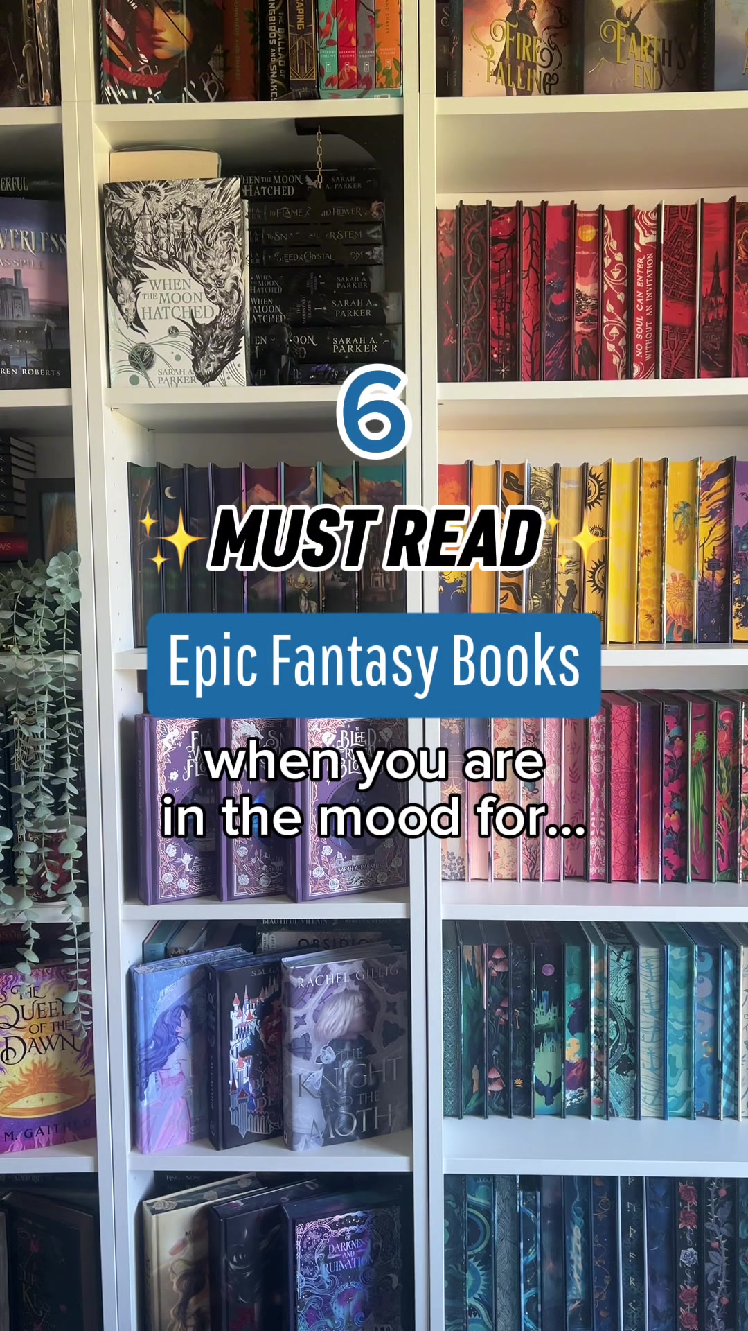 @Second Sky Books | booktok