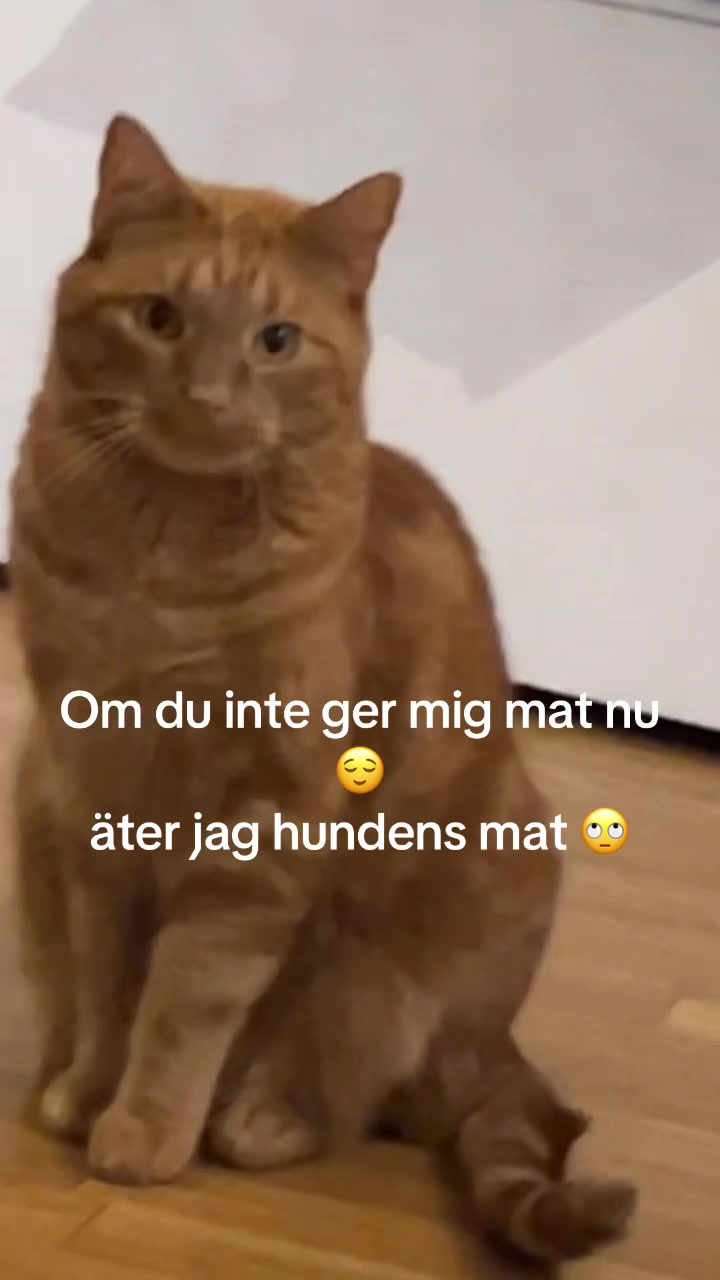 @Elle