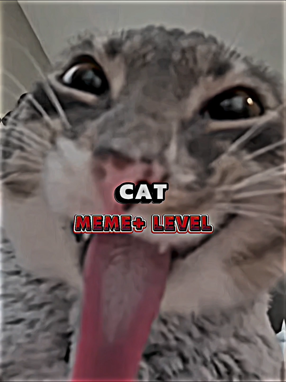 @《ⒹⒺⒷⒶⓇⒾⒸ》