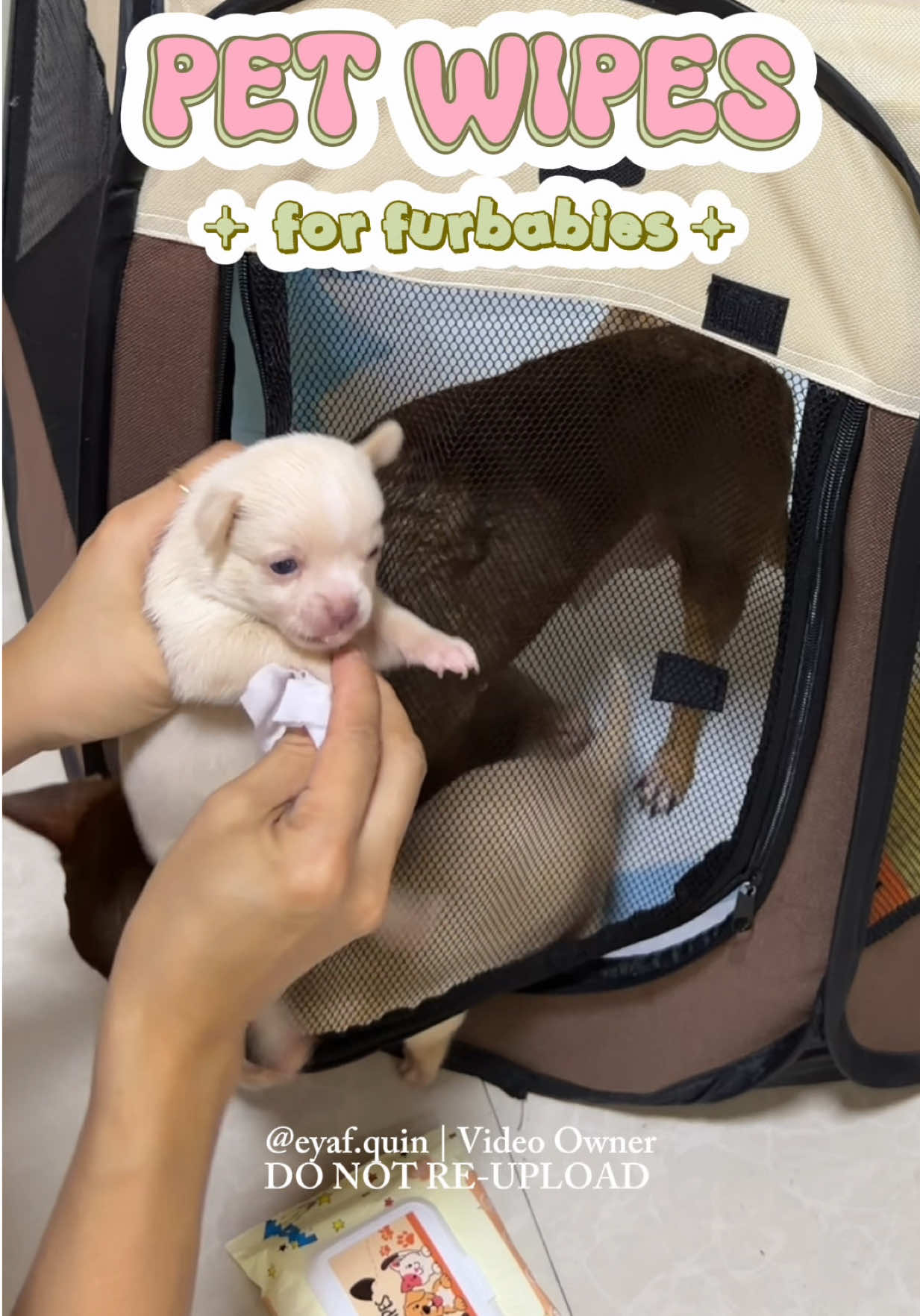@QuinFayeᢉ𐭩