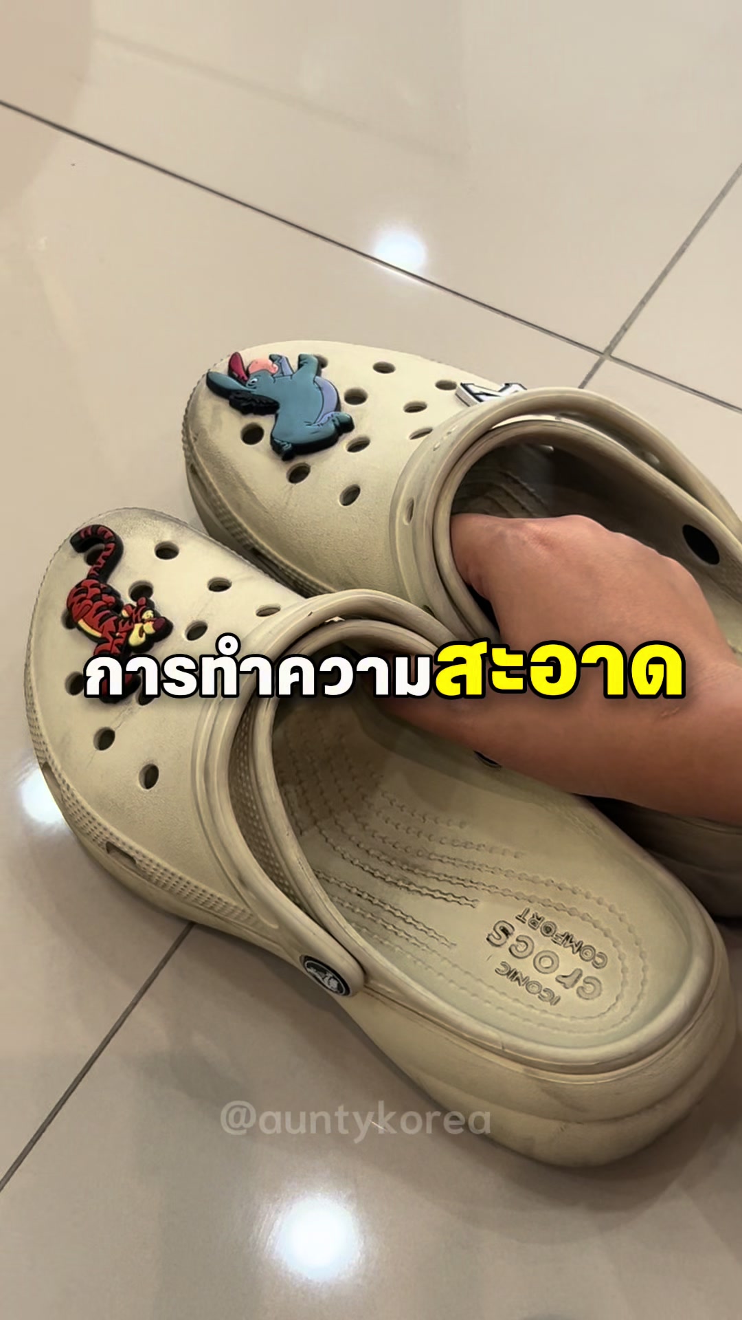 @AUNTY KOREA อันตี้ โคเรีย