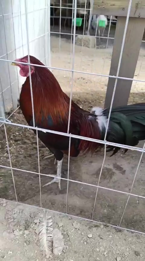 @Gonzalez 45