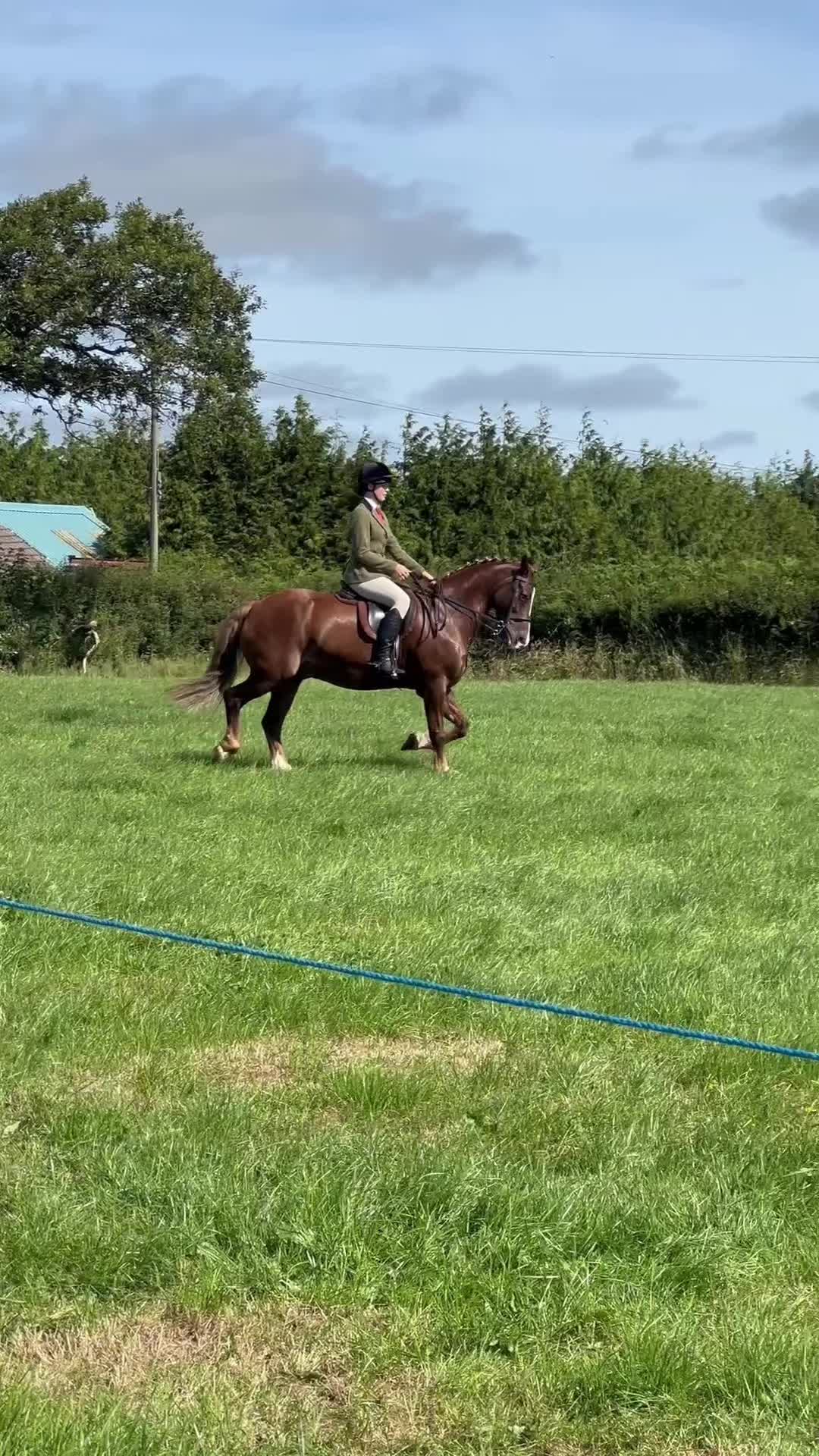 @amelia_showjumping2