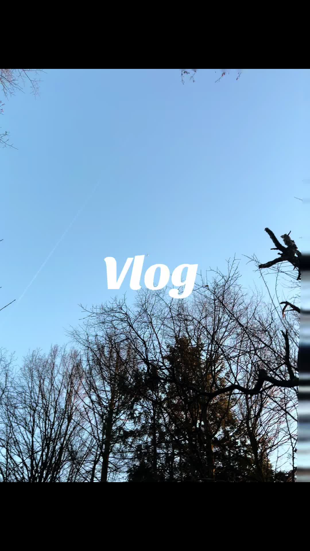 @ƙꪖꪹỉ᭢ꪖ 🐆🍒🎱