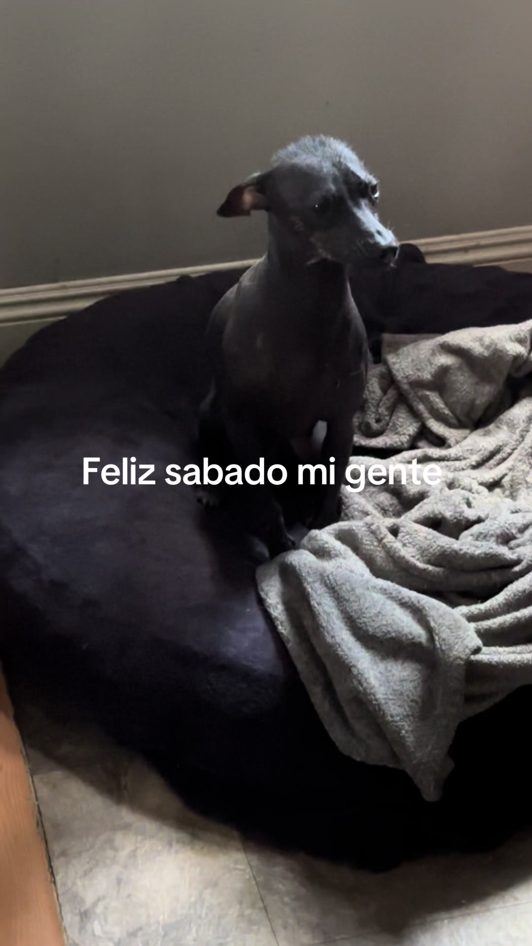@Elcharitoopemex
