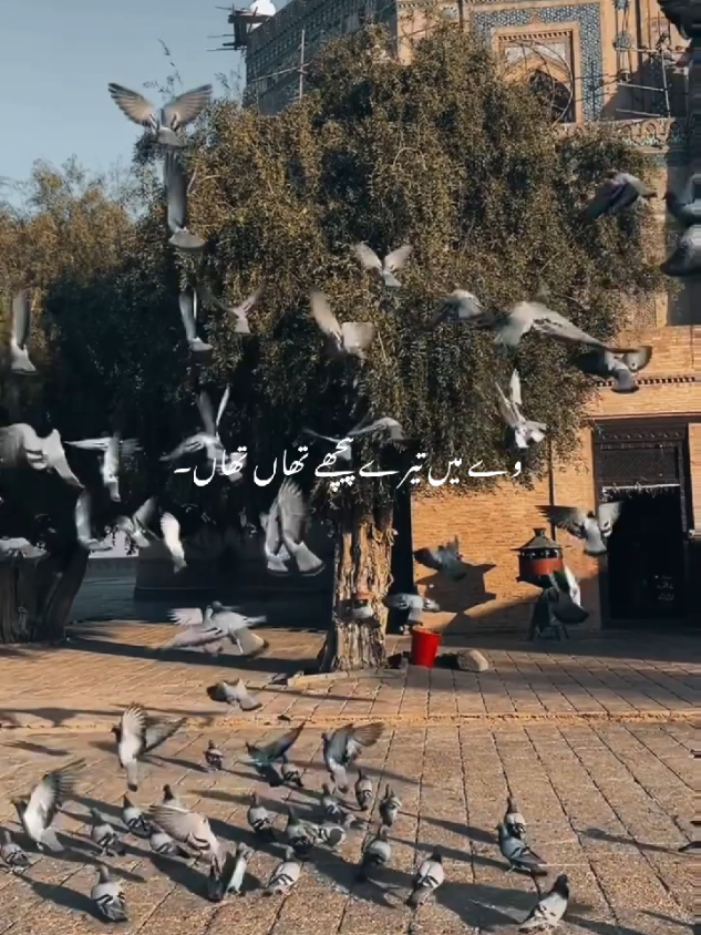@𝙎𝙤𝙪𝙡𝙞𝙭 🎧