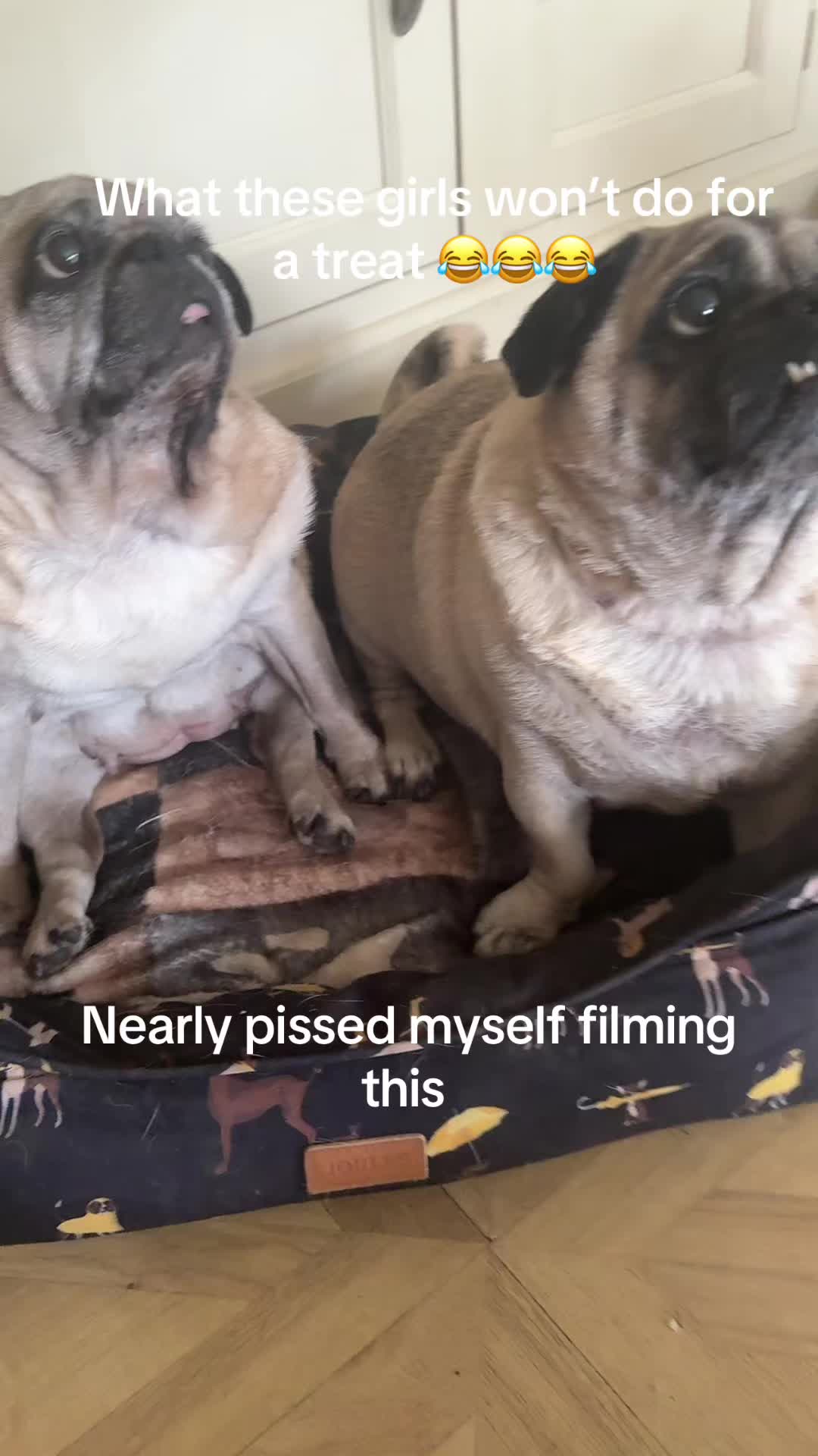@tiffany_denford