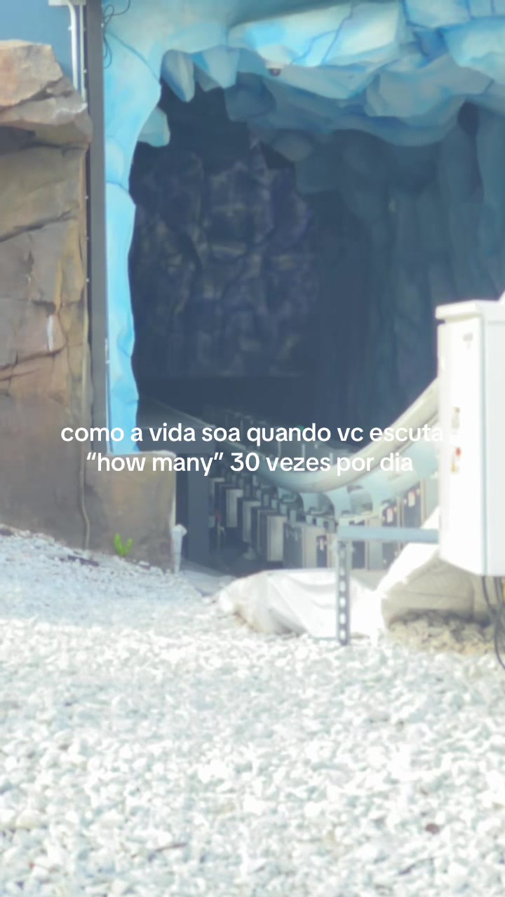 @flavia torres