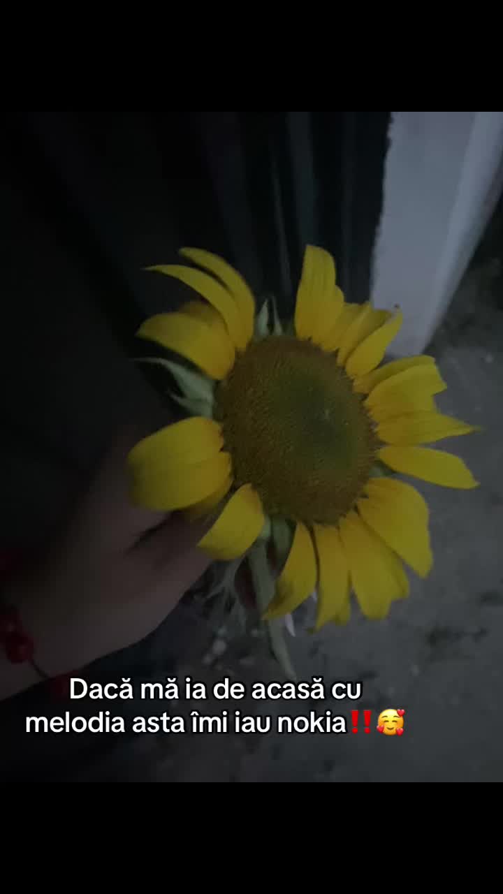 @_Medee_