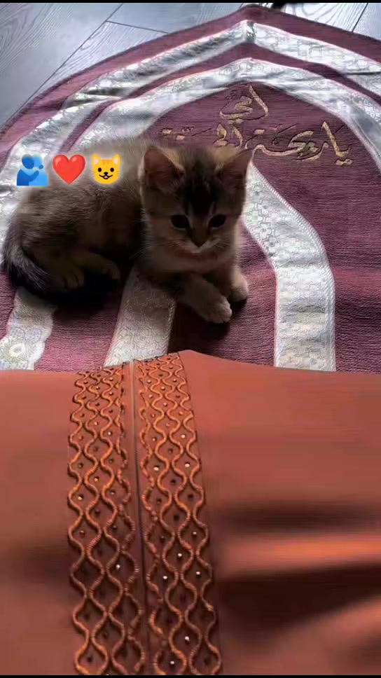 @تعلم ثم تكلم🥰