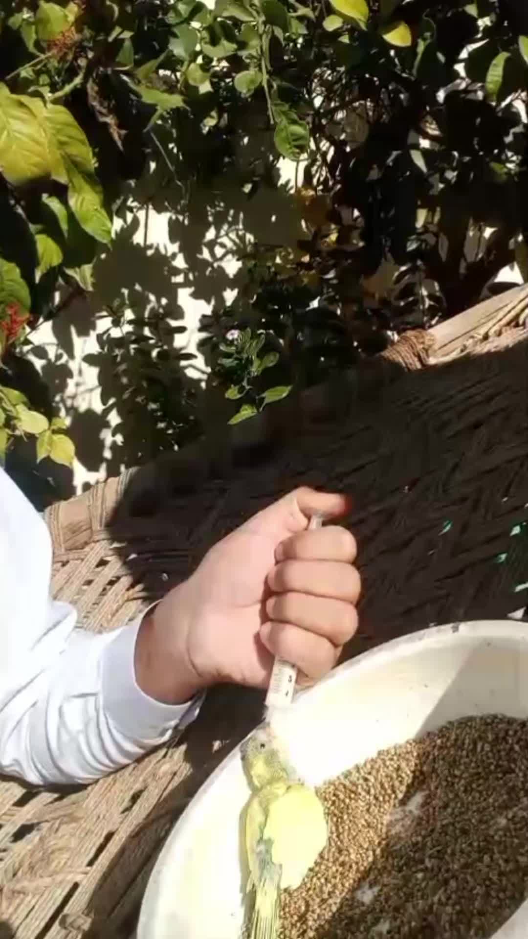 @Jawad Khan
