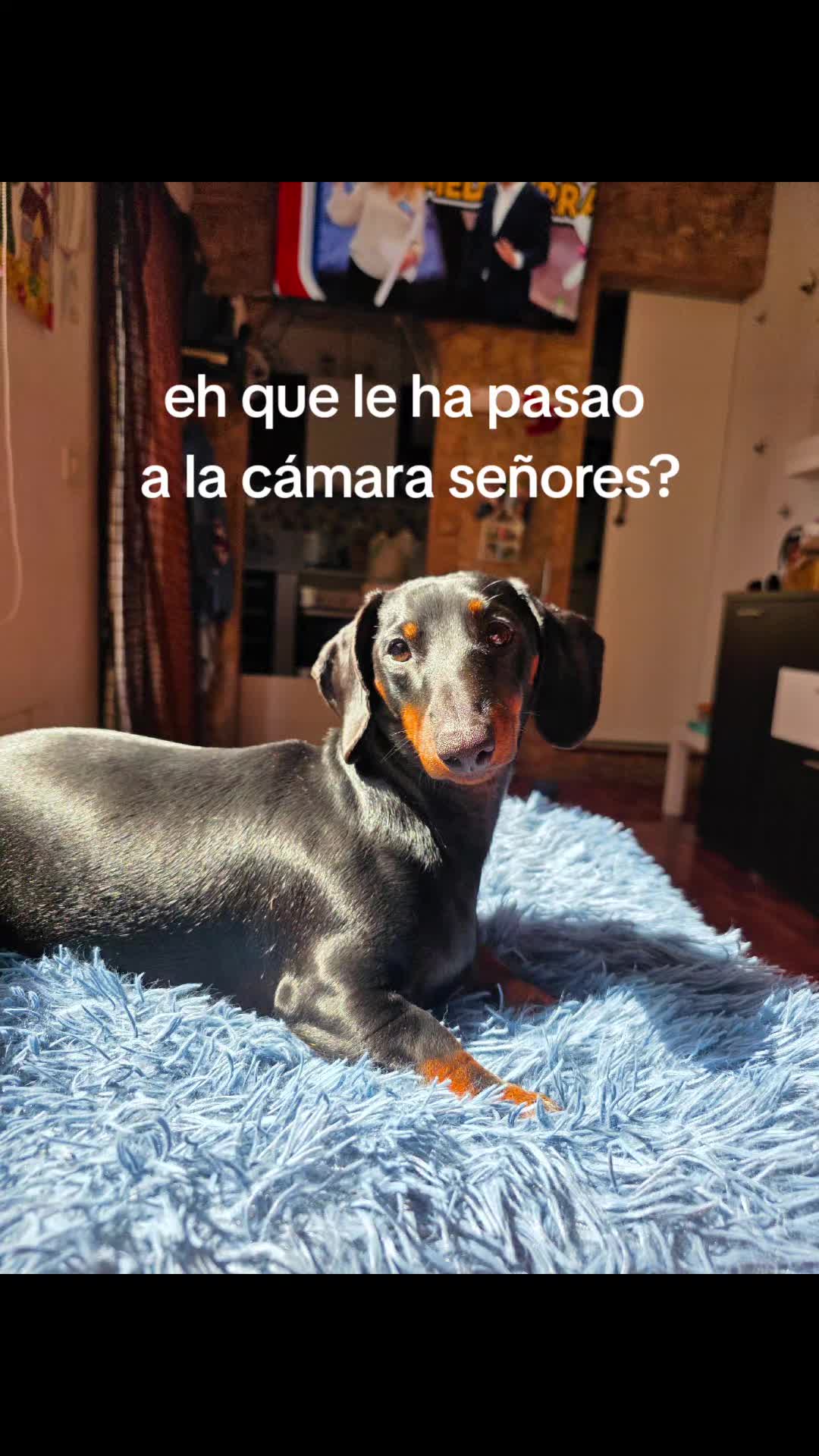 @ygaarcia_