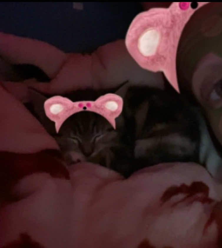 @𝐋 𝐄 𝐀 𝐇 🧿🤍