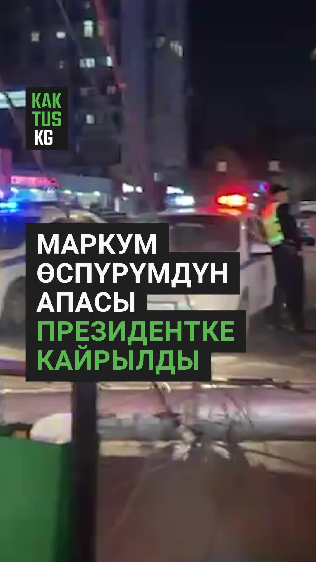 @Kaktus KG