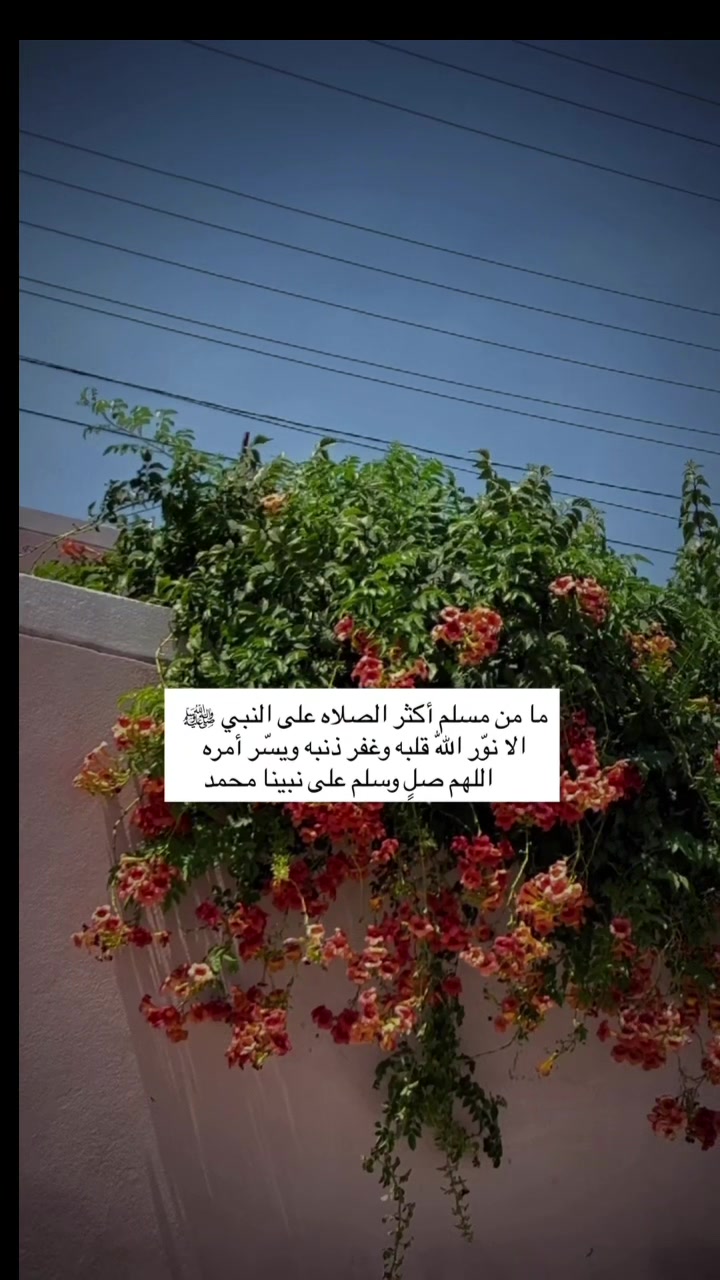 @لحظة الأمل 🫀🤍